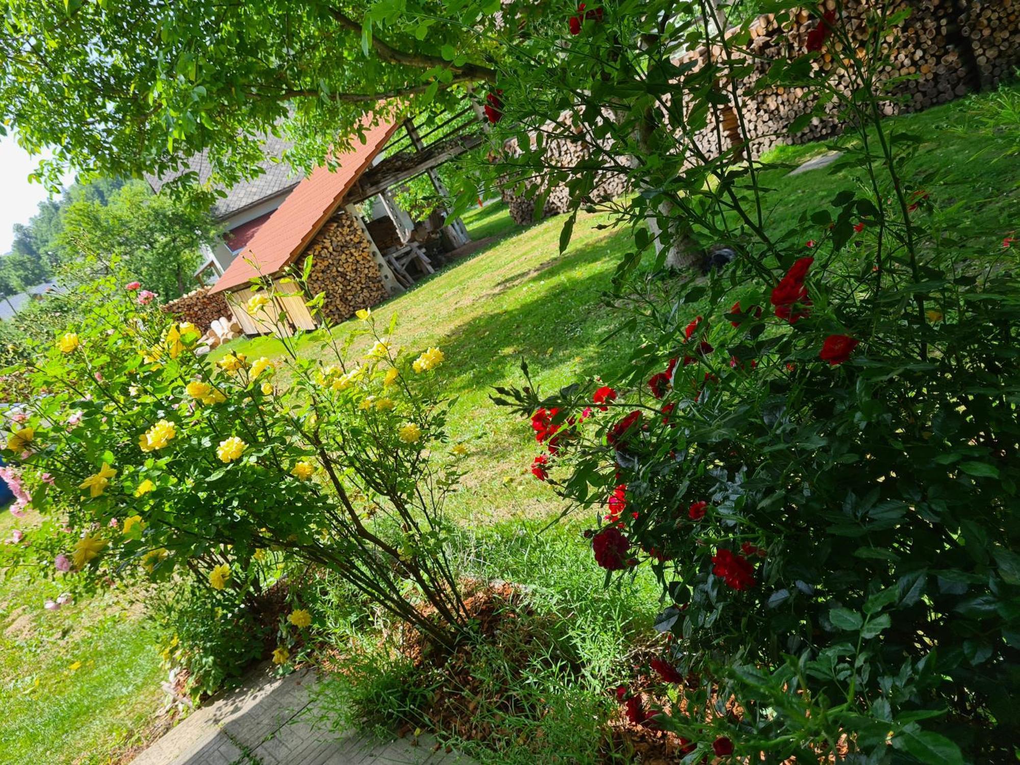 Bed and Breakfast Gostilna Batist Bohinjska Bela Exterior foto