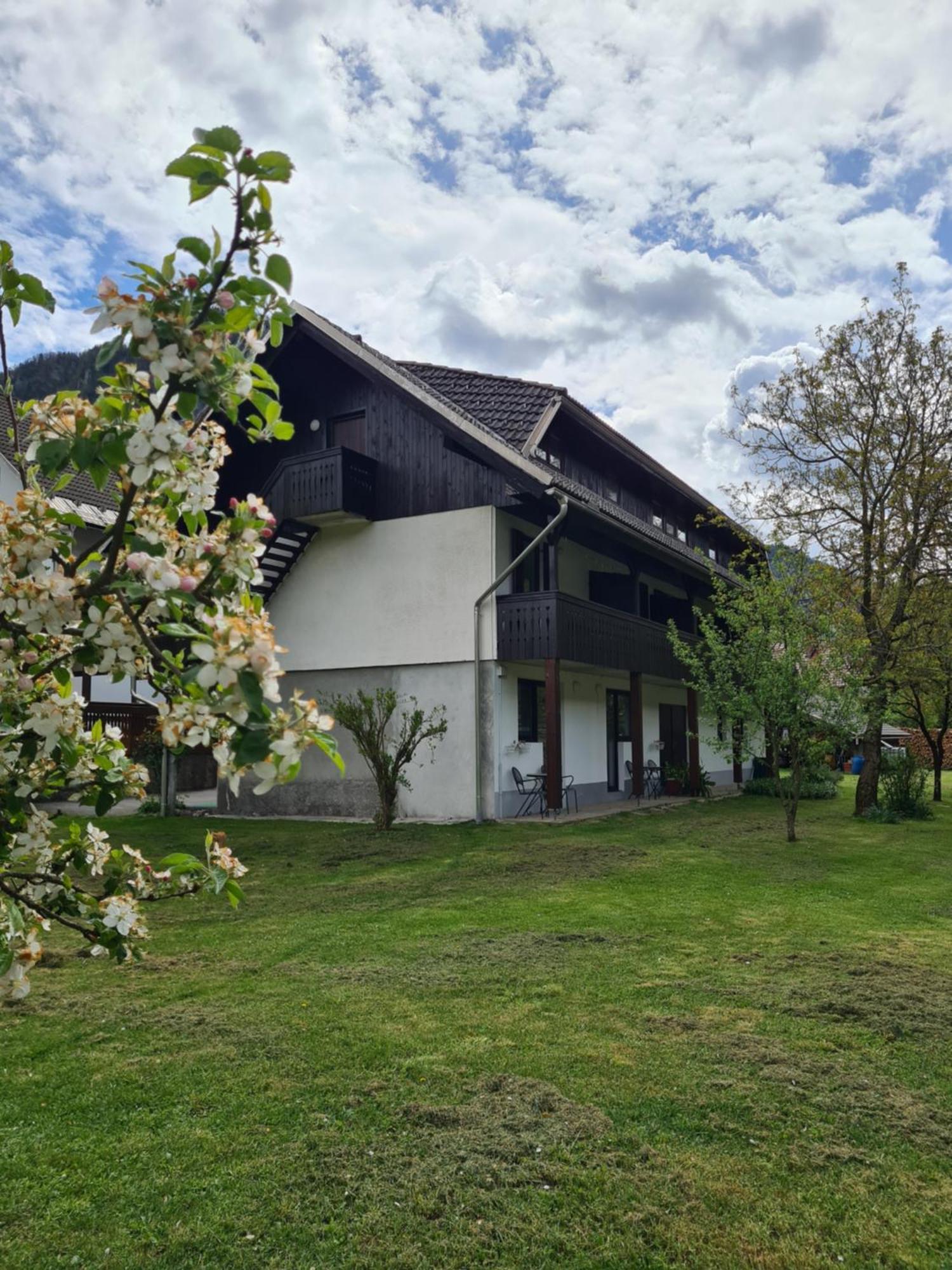 Bed and Breakfast Gostilna Batist Bohinjska Bela Exterior foto